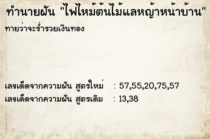 ทำนายฝัน ไฟไหม้ต้นไม้แลหญ้าหน้าบ้าน  เลขนำโชค 