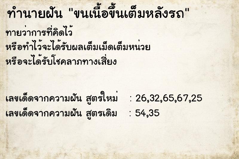 ทำนายฝัน ขนเนื้อขึ้นเต็มหลังรถ