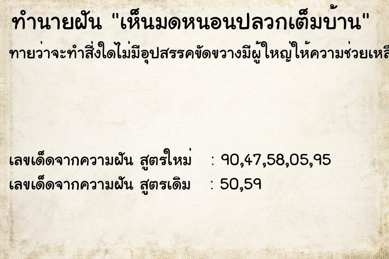 ทำนายฝัน เห็นมดหนอนปลวกเต็มบ้าน