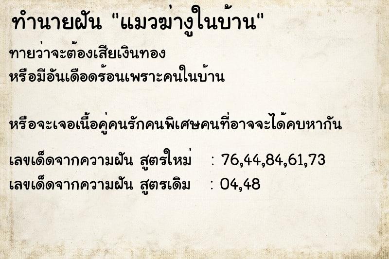 ทำนายฝัน แมวฆ่างูในบ้าน