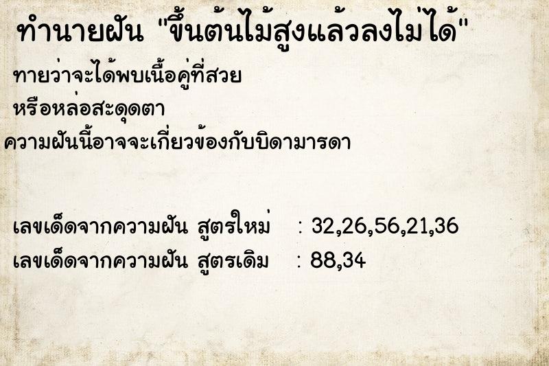 ทำนายฝัน ขึ้นต้นไม้สูงแล้วลงไม่ได้