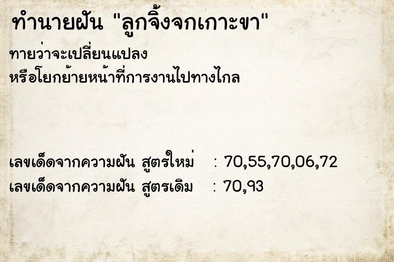 ทำนายฝัน ลูกจิ้งจกเกาะขา