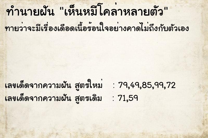 ทำนายฝัน เห็นหมีโคล่าหลายตัว