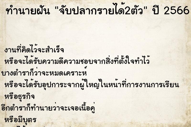 ทำนายฝัน จับปลากรายได้2ตัว