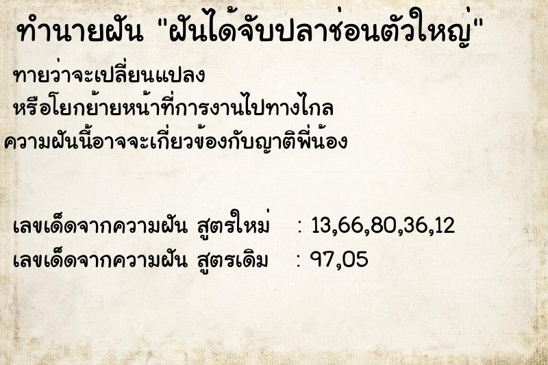 ทำนายฝัน ฝันได้จับปลาช่อนตัวใหญ่