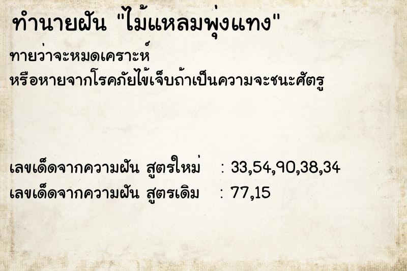 ทำนายฝัน ไม้แหลมพุ่งแทง