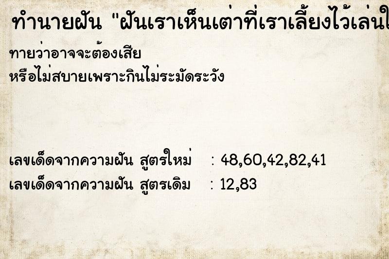 ทำนายฝัน ฝันเราเห็นเต่าที่เราเลี้ยงไว้เล่นในน้ำ