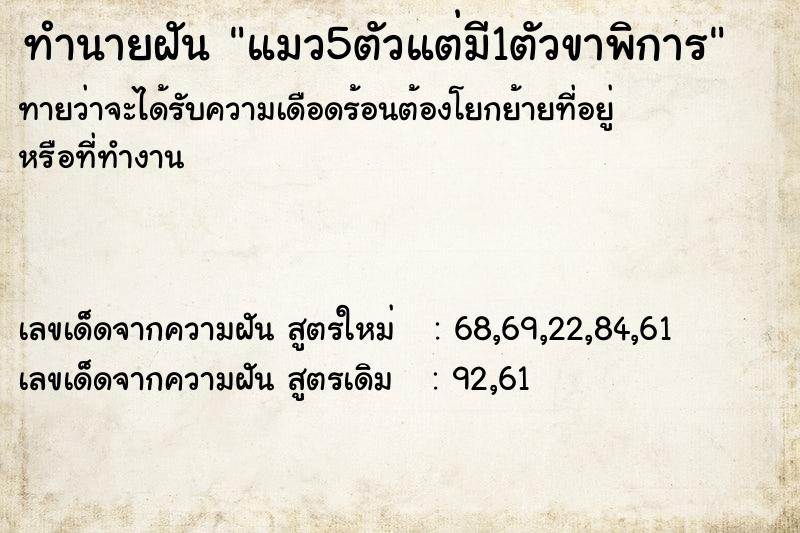 ทำนายฝัน แมว5ตัวแต่มี1ตัวขาพิการ