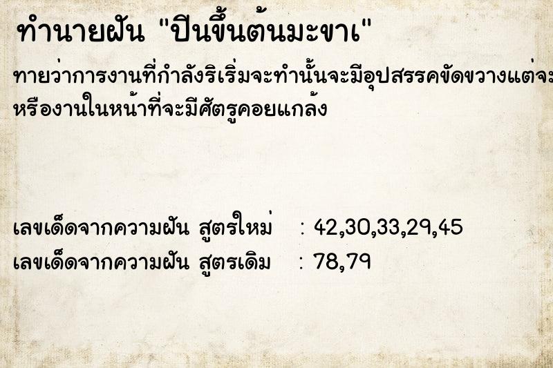 ทำนายฝัน ปีนขึ้นต้นมะขาà