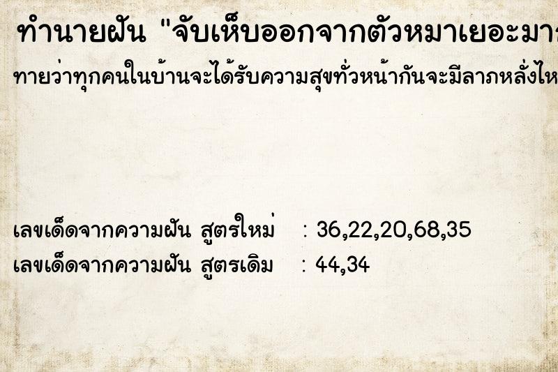 ทำนายฝัน จับเห็บออกจากตัวหมาเยอะมาก