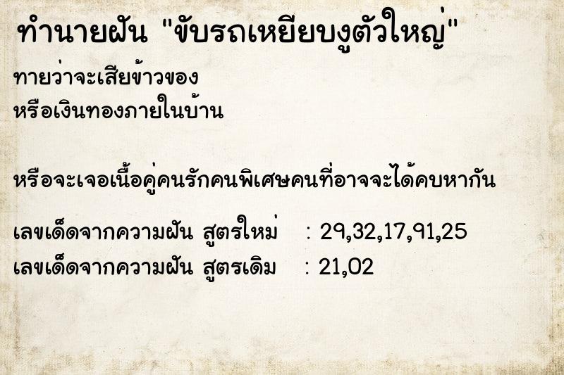 ทำนายฝัน ขับรถเหยียบงูตัวใหญ่  เลขนำโชค 