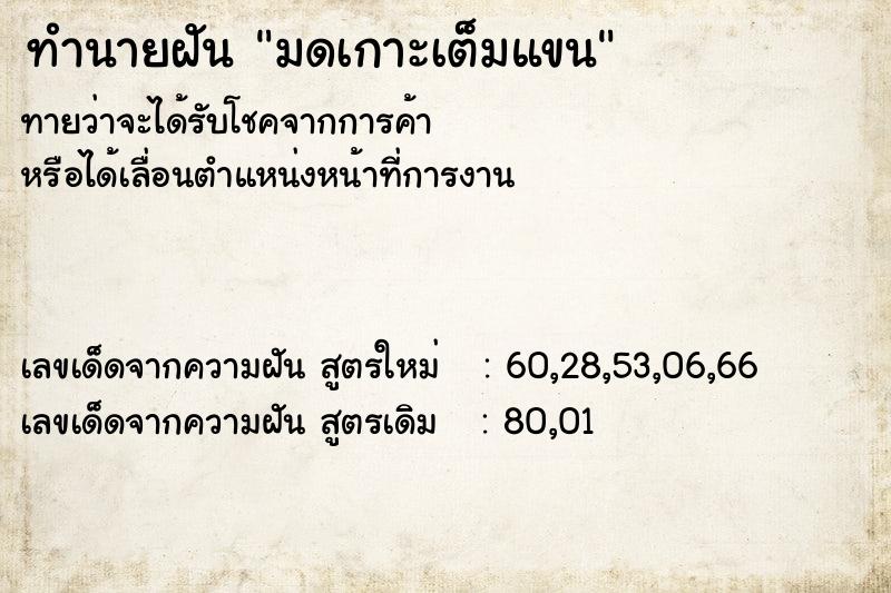 ทำนายฝัน มดเกาะเต็มแขน