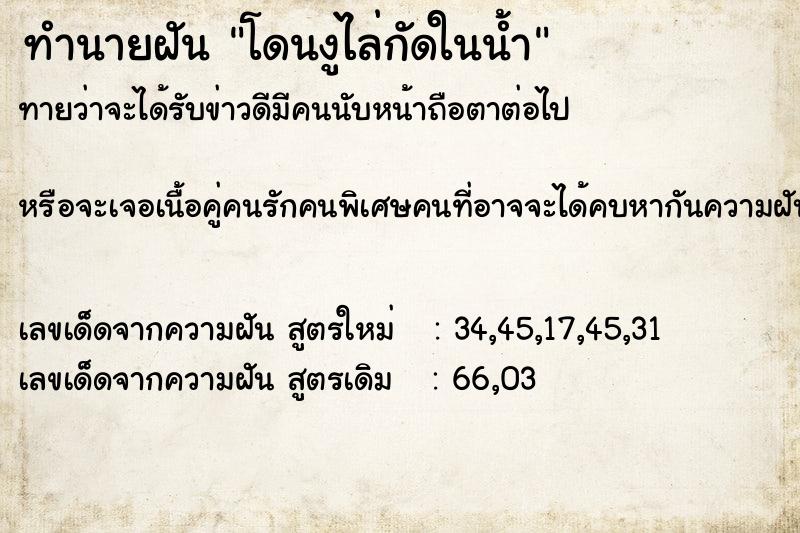 ทำนายฝัน โดนงูไล่กัดในน้ำ  เลขนำโชค 