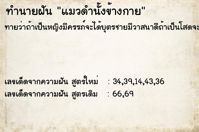 ทำนายฝัน แมวดำนั้งข้างกาย