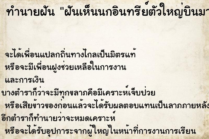 ทำนายฝัน ฝันเห็นนกอินทรีย์ตัวใหญ่บินมาเกาะหลัง