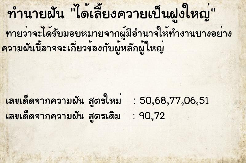 ทำนายฝัน ได้เลี้ยงควายเป็นฝูงใหญ่