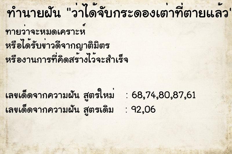 ทำนายฝัน ว่าได้จับกระดองเต่าที่ตายแล้ว  เลขนำโชค 