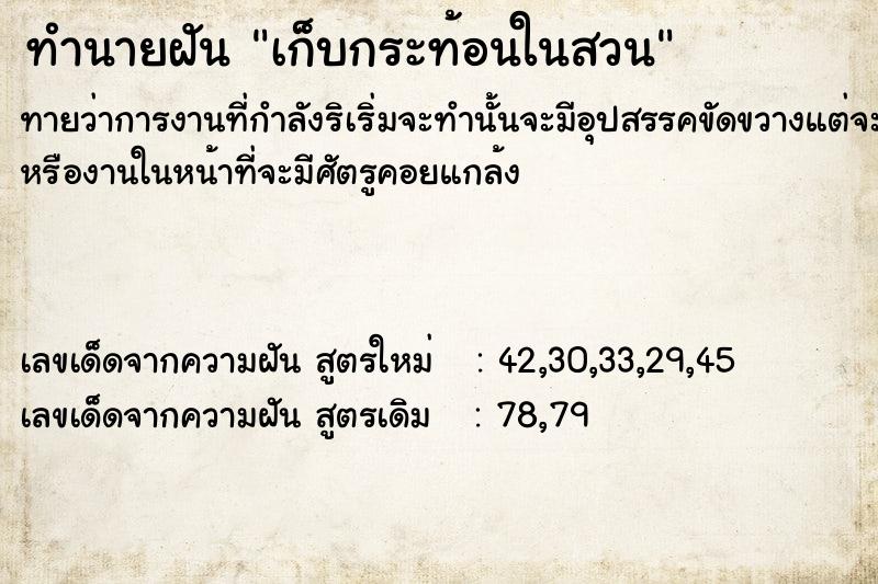 ทำนายฝัน เก็บกระท้อน​ในสวน