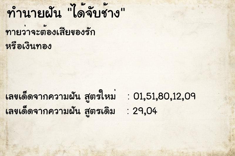 ทำนายฝัน ได้จับช้าง