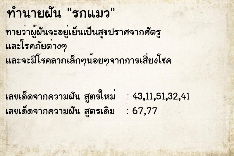 ทำนายฝัน รกแมว  เลขนำโชค 