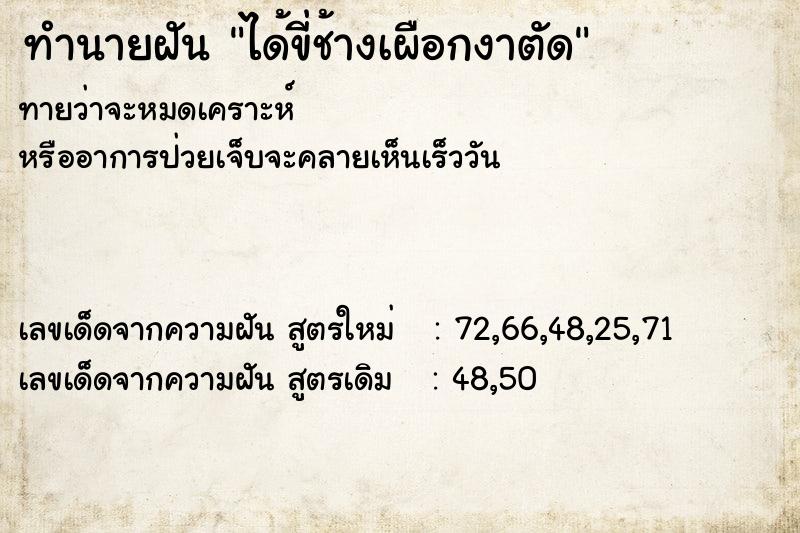 ทำนายฝัน ได้ขี่ช้างเผือกงาตัด