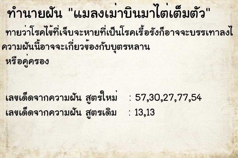 ทำนายฝัน แมลงเม่าบินมาไต่เต็มตัว