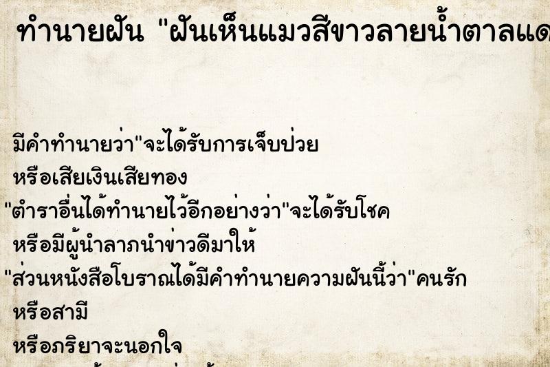 ทำนายฝัน ฝันเห็นแมวสีขาวลายน้ำตาลแดง