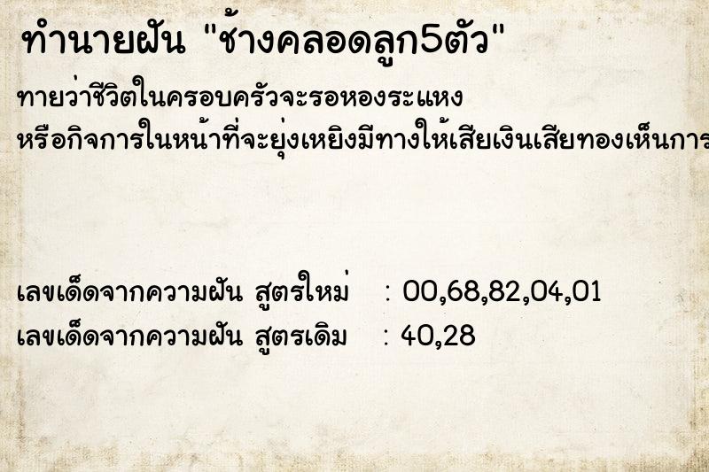 ทำนายฝัน ช้างคลอดลูก5ตัว