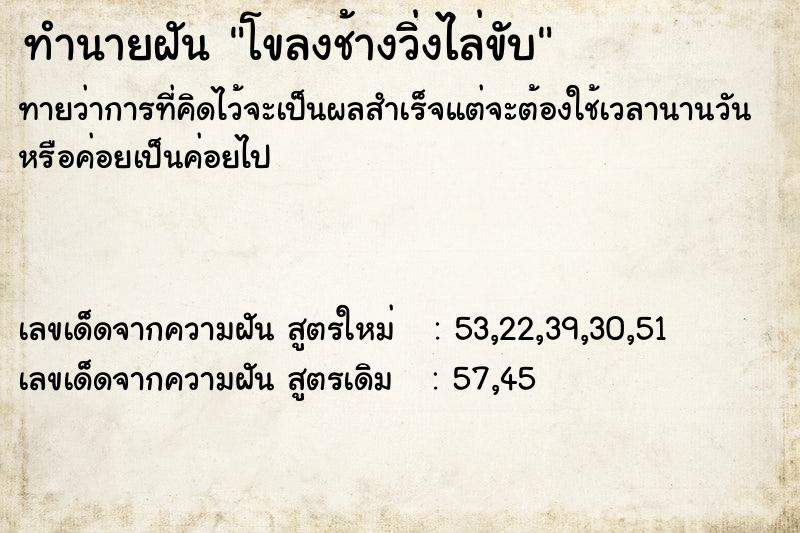 ทำนายฝัน โขลงช้างวิ่งไล่ขับ  เลขนำโชค 