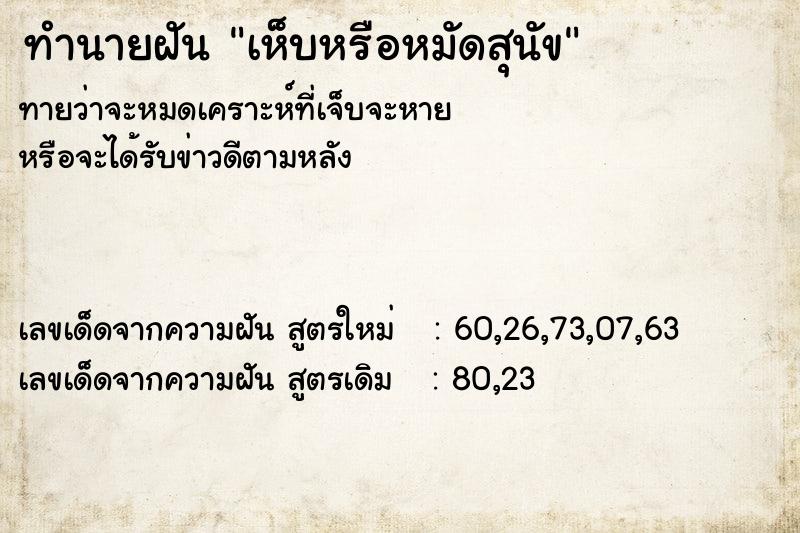 ทำนายฝัน เห็บหรือหมัดสุนัข