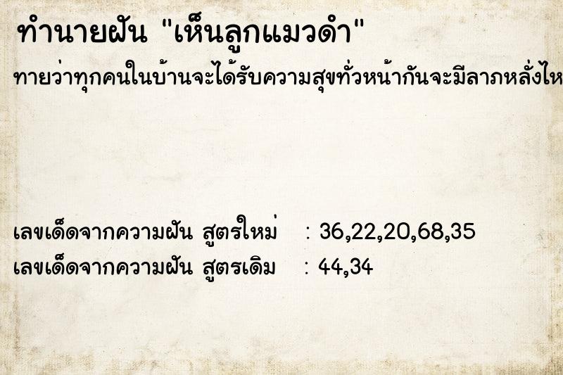 ทำนายฝัน เห็นลูกแมวดำ