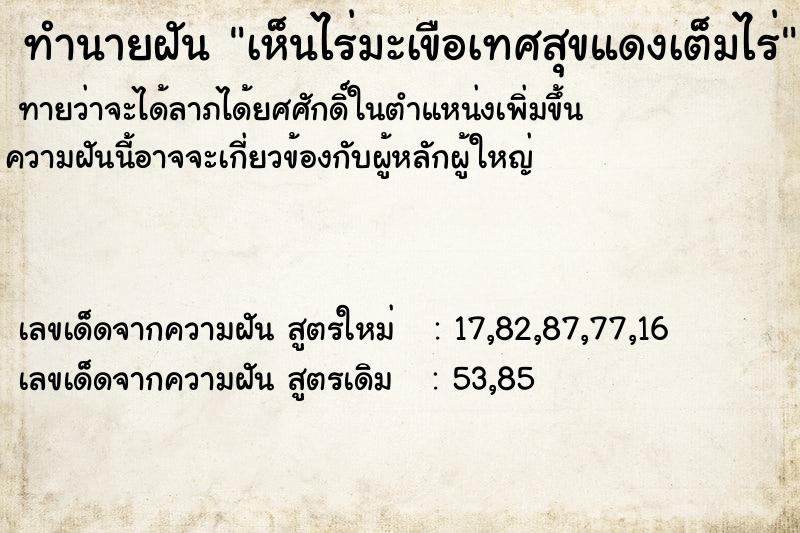 ทำนายฝัน เห็นไร่มะเขือเทศสุขแดงเต็มไร่