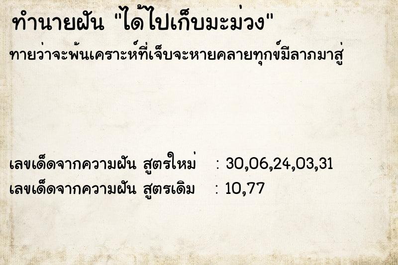 ทำนายฝัน ได้ไปเก็บมะม่วง