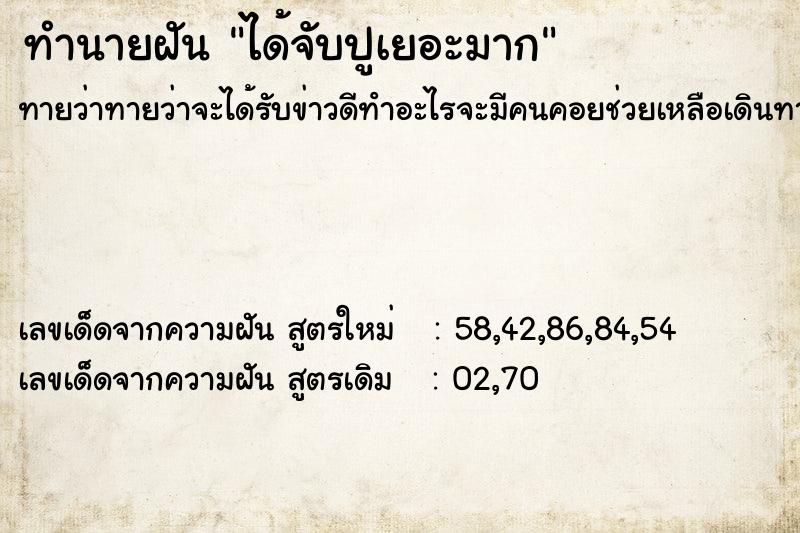 ทำนายฝัน ได้จับปูเยอะมาก