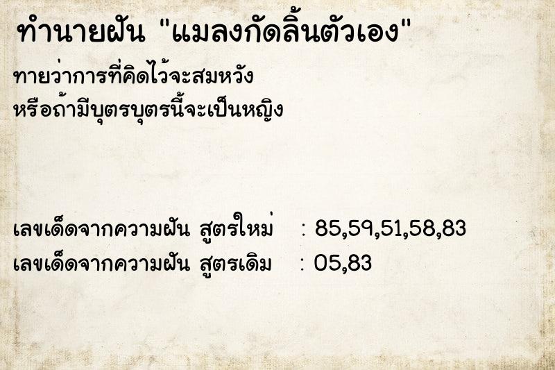 ทำนายฝัน แมลงกัดลิ้นตัวเอง  เลขนำโชค 