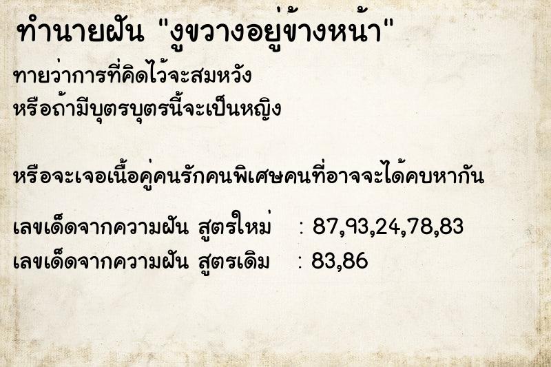 ทำนายฝัน งูขวางอยู่ข้างหน้า