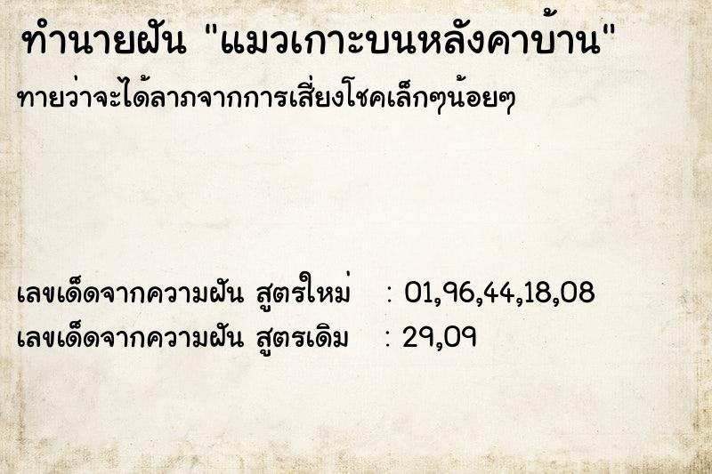 ทำนายฝัน แมวเกาะบนหลังคาบ้าน