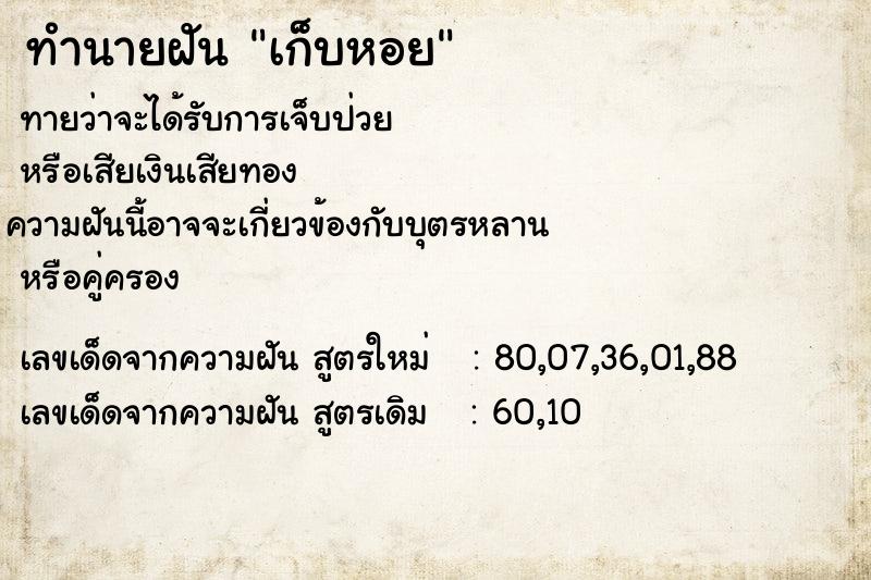 ทำนายฝัน เก็บหอยคืนวันพุธ  เลขนำโชค 