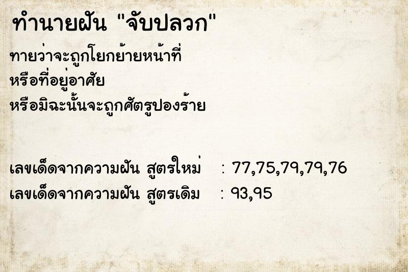 ทำนายฝัน จับปลวก  เลขนำโชค 