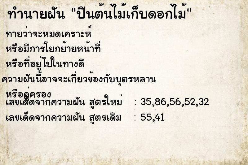 ทำนายฝัน ปีนต้นไม้เก็บดอกไม้