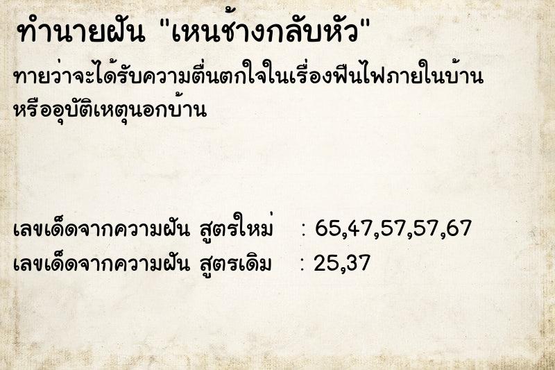 ทำนายฝัน เหนช้างกลับหัว