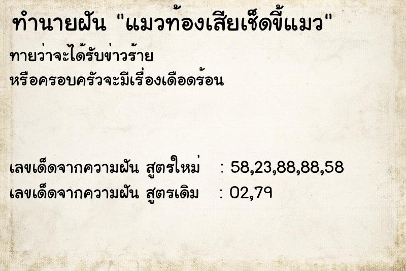 ทำนายฝัน แมวท้องเสียเช็ดขี้แมว