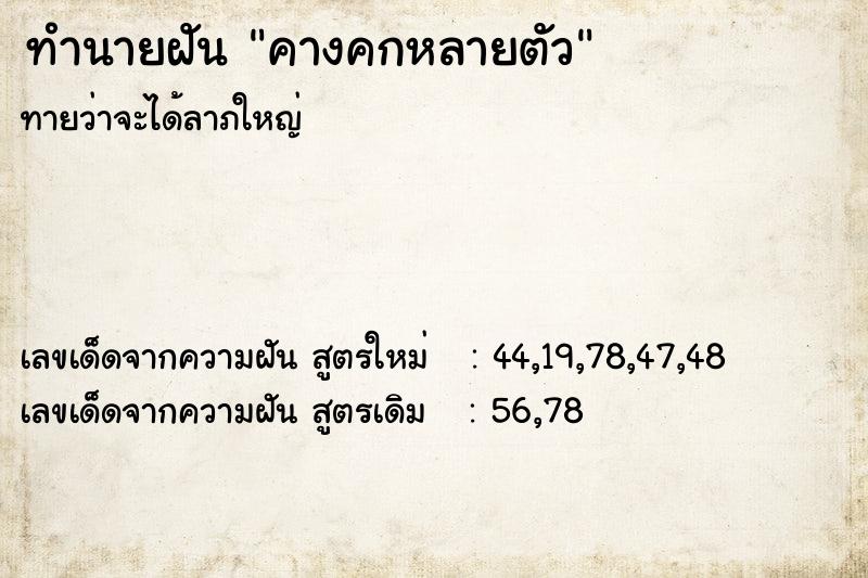 ทำนายฝัน คางคกหลายตัว