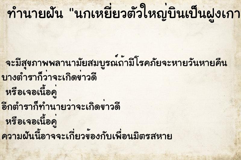 ทำนายฝัน นกเหยี่ยวตัวใหญ่บินเป็นฝูงเกาะบนหลังคาบ้าน