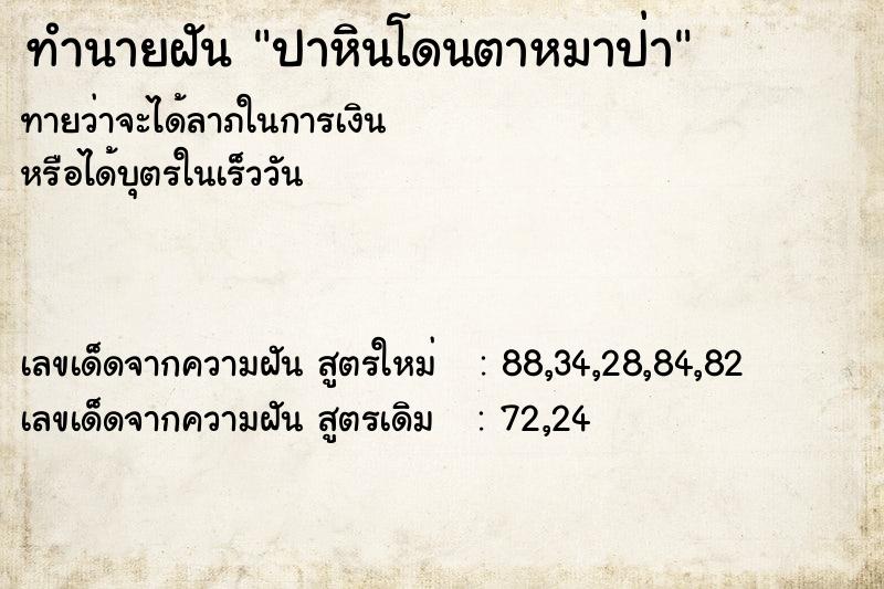 ทำนายฝัน ปาหินโดนตาหมาป่า