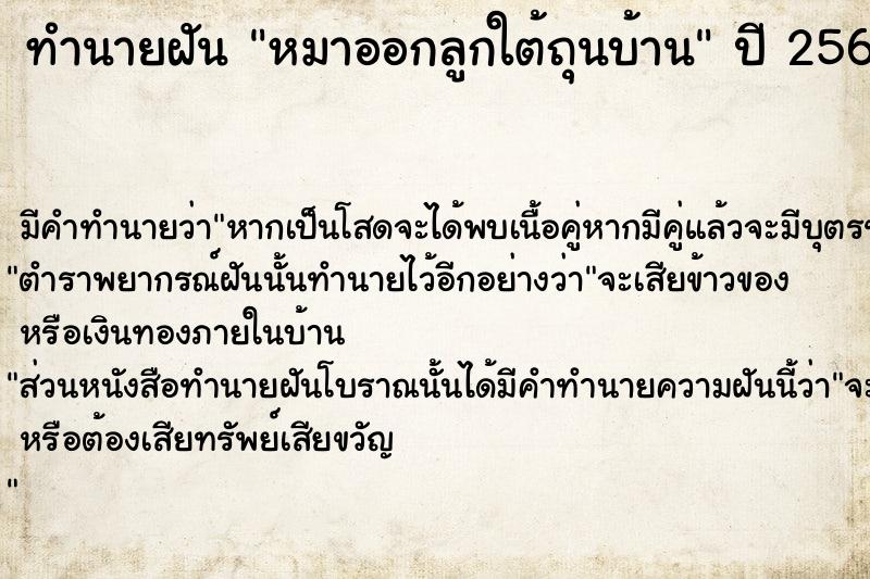 ทำนายฝัน #ทำนายฝัน #หมาออกลูกใต้ถุนบ้าน  เลขนำโชค 