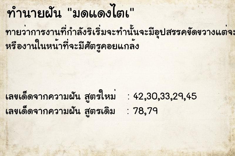 ทำนายฝัน มดแดงไตà