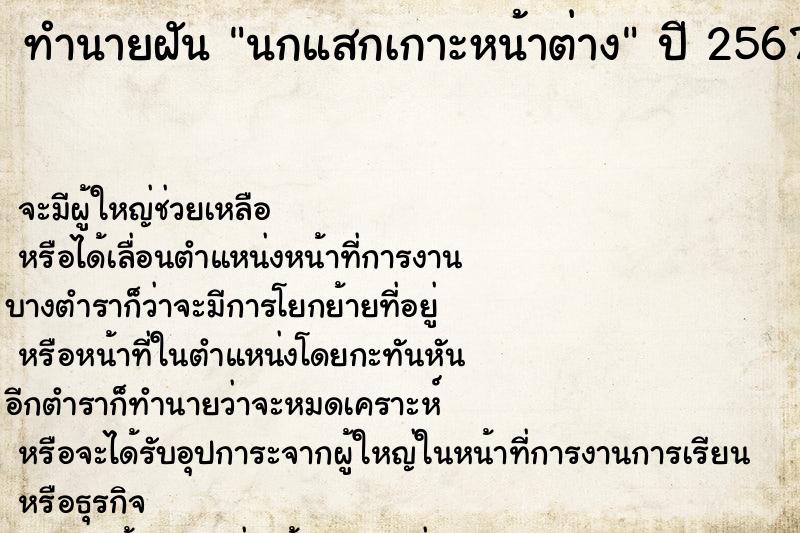 ทำนายฝัน นกแสกเกาะหน้าต่าง