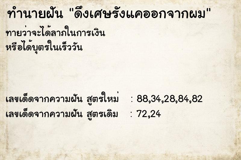 ทำนายฝัน ดึงเศษรังแคออกจากผม