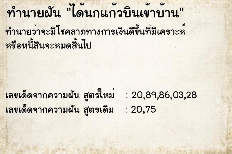 ทำนายฝัน ได้นกแก้วบินเข้าบ้าน